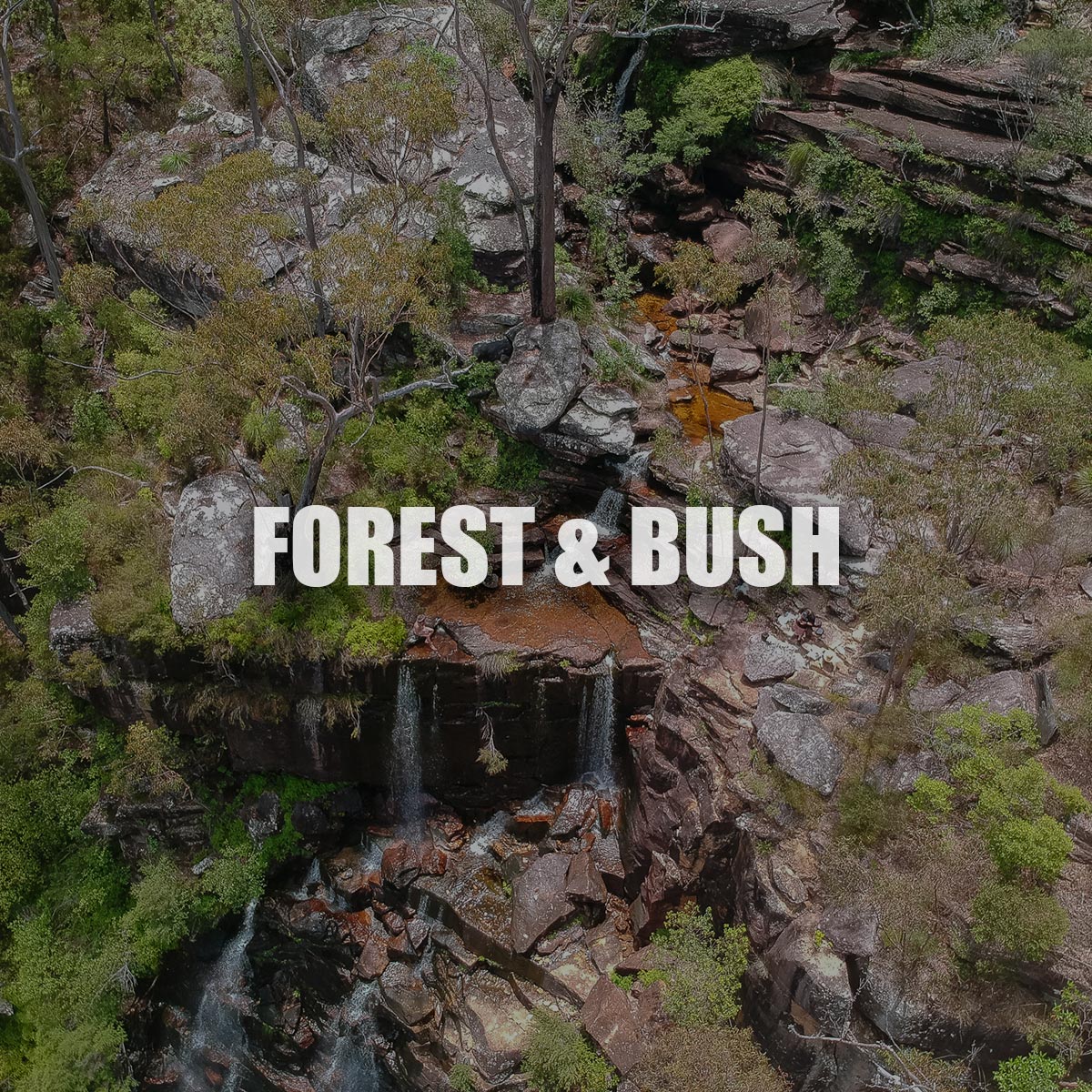 Forest & Bush Track Patches